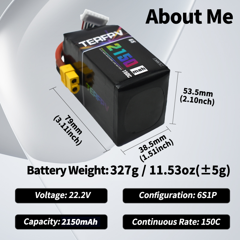Baterai Lipo TERFPV 6S 22.2V 1 - Drone Battery Plate ulasan dan harga