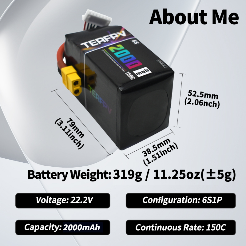 TERFPV 6S 22.2V 2000mAh 150C/3 - Drone Battery Plate ulasan dan harga